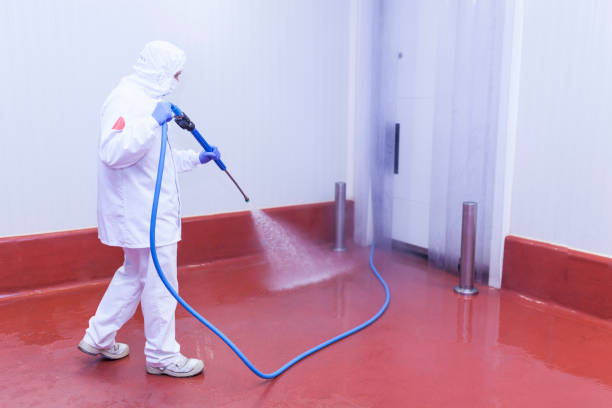 Professional Pressure Washing Services in Warrenton, MO